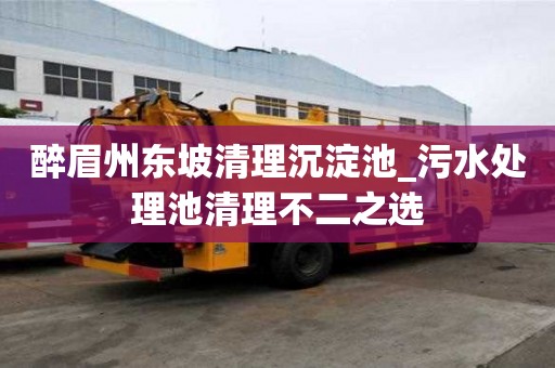 醉眉州東坡清理沉淀池_污水處理池清理不二之選