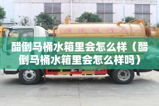 醋倒馬桶水箱里會怎么樣（醋倒馬桶水箱里會怎么樣嗎）