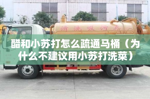 醋和小蘇打怎么疏通馬桶（為什么不建議用小蘇打洗菜）