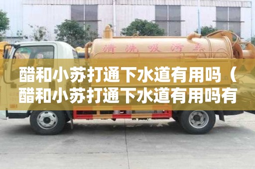 醋和小蘇打通下水道有用嗎（醋和小蘇打通下水道有用嗎有毒嗎）