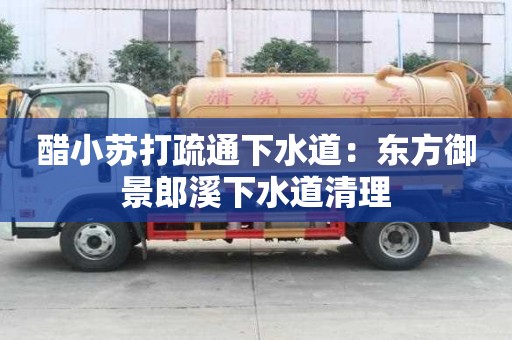 醋小蘇打疏通下水道：東方御景郎溪下水道清理