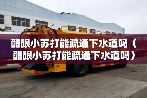 醋跟小蘇打能疏通下水道嗎（醋跟小蘇打能疏通下水道嗎）