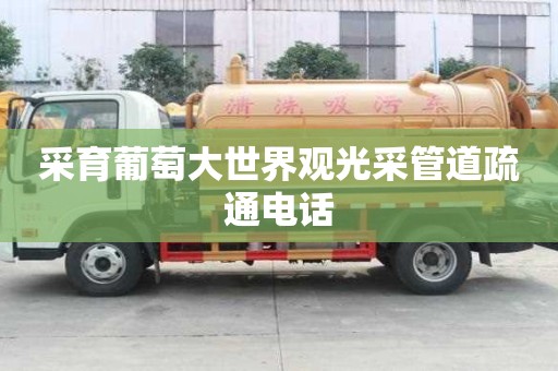 采育葡萄大世界觀光采管道疏通電話