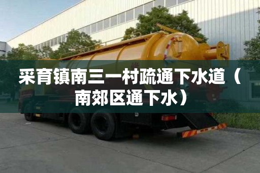 采育鎮南三一村疏通下水道（南郊區通下水）
