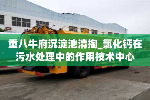 重八牛府沉淀池清掏_氯化鈣在污水處理中的作用技術中心