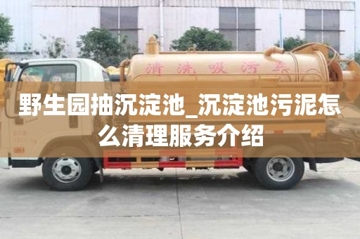 野生園抽沉淀池_沉淀池污泥怎么清理服務(wù)介紹