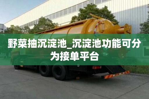 野菜抽沉淀池_沉淀池功能可分為接單平臺