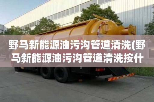 野馬新能源油污溝管道清洗(野馬新能源油污溝管道清洗按什么收費)