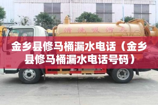 金鄉縣修馬桶漏水電話（金鄉縣修馬桶漏水電話號碼）