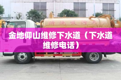 金地仰山維修下水道（下水道維修電話）