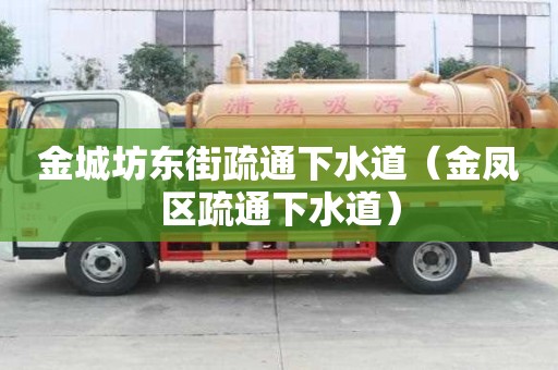 金城坊東街疏通下水道（金鳳區(qū)疏通下水道）