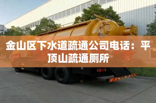 金山區下水道疏通公司電話：平頂山疏通廁所