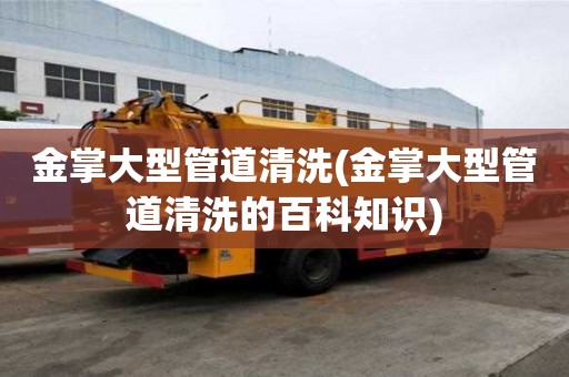 金掌大型管道清洗(金掌大型管道清洗的百科知識)