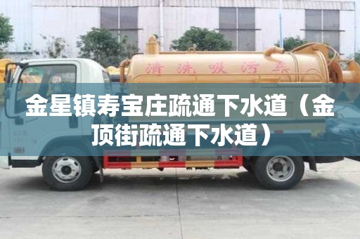 金星鎮壽寶莊疏通下水道（金頂街疏通下水道）