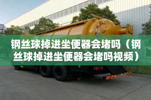 鋼絲球掉進(jìn)坐便器會(huì)堵嗎（鋼絲球掉進(jìn)坐便器會(huì)堵嗎視頻）
