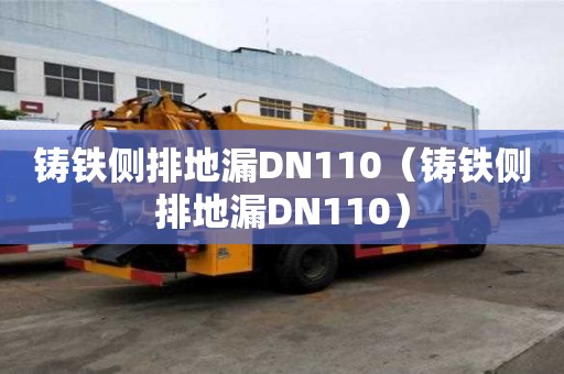 鑄鐵側(cè)排地漏DN110（鑄鐵側(cè)排地漏DN110）