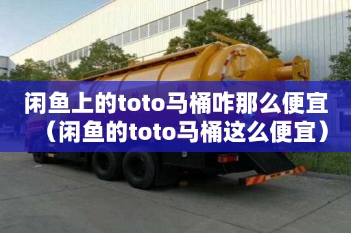 閑魚上的toto馬桶咋那么便宜（閑魚的toto馬桶這么便宜）
