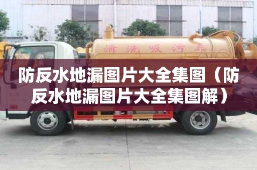 防反水地漏圖片大全集圖（防反水地漏圖片大全集圖解）