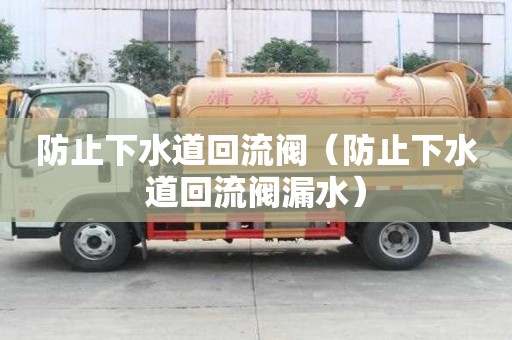 防止下水道回流閥（防止下水道回流閥漏水）
