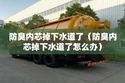 防臭內芯掉下水道了（防臭內芯掉下水道了怎么辦）