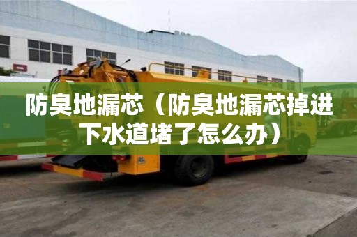 防臭地漏芯（防臭地漏芯掉進下水道堵了怎么辦）