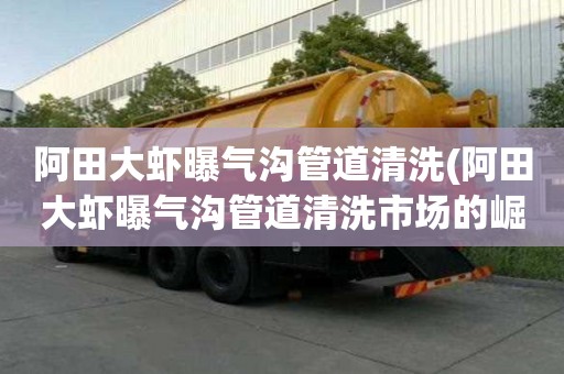 阿田大蝦曝氣溝管道清洗(阿田大蝦曝氣溝管道清洗市場的崛起)