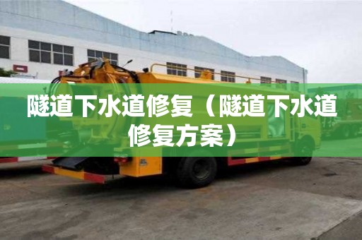 隧道下水道修復(fù)（隧道下水道修復(fù)方案）