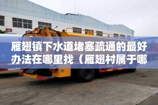 雁翅鎮下水道堵塞疏通的最好辦法在哪里找（雁翅村屬于哪個鎮）