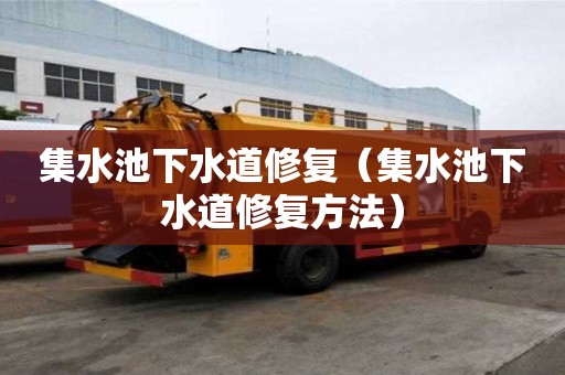 集水池下水道修復（集水池下水道修復方法）