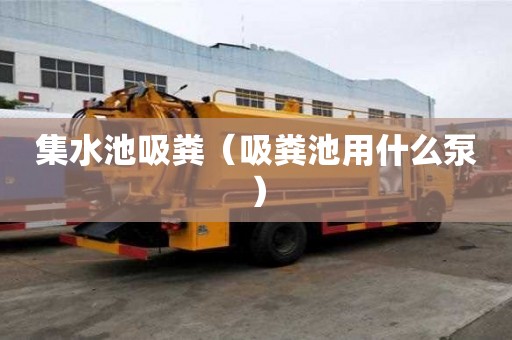 集水池吸糞（吸糞池用什么泵）