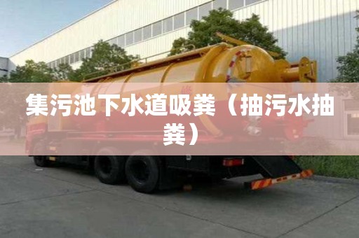 集污池下水道吸糞（抽污水抽糞）