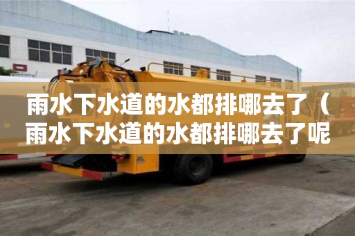 雨水下水道的水都排哪去了（雨水下水道的水都排哪去了呢）