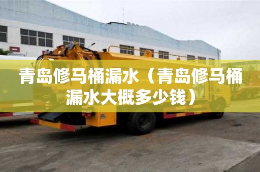 青島修馬桶漏水（青島修馬桶漏水大概多少錢）
