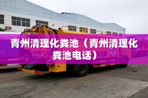 青州清理化糞池（青州清理化糞池電話）