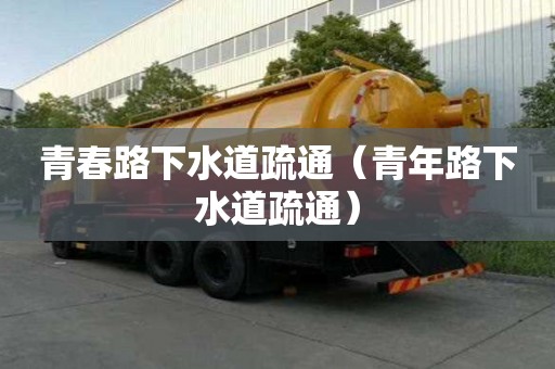 青春路下水道疏通（青年路下水道疏通）