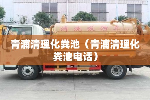 青浦清理化糞池（青浦清理化糞池電話）