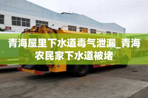 青海屋里下水道毒氣泄漏_青海農(nóng)民家下水道被堵