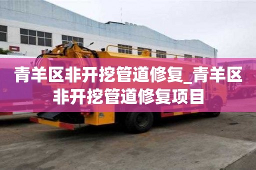 青羊區非開挖管道修復_青羊區非開挖管道修復項目