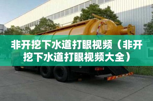 非開(kāi)挖下水道打眼視頻（非開(kāi)挖下水道打眼視頻大全）