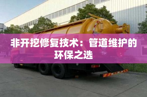 非開挖修復(fù)技術(shù)：管道維護(hù)的環(huán)保之選