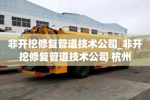 非開挖修復管道技術公司_非開挖修復管道技術公司 杭州