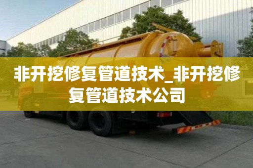 非開挖修復(fù)管道技術(shù)_非開挖修復(fù)管道技術(shù)公司