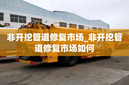 非開挖管道修復市場_非開挖管道修復市場如何