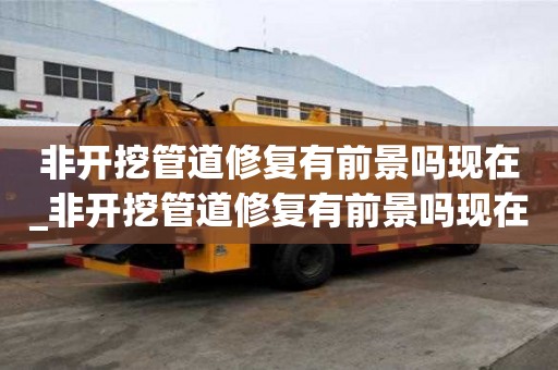 非開挖管道修復(fù)有前景嗎現(xiàn)在_非開挖管道修復(fù)有前景嗎現(xiàn)在怎么樣
