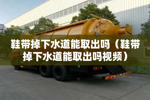 鞋帶掉下水道能取出嗎（鞋帶掉下水道能取出嗎視頻）