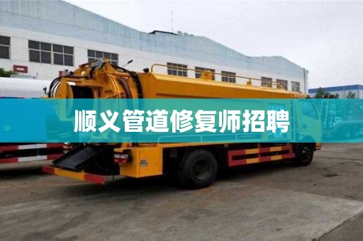順義管道修復師招聘