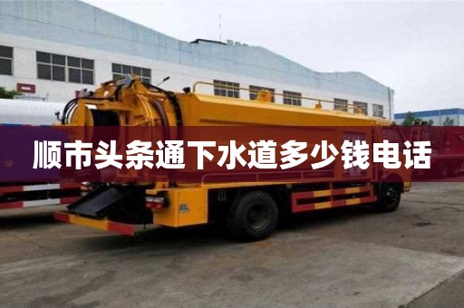 順市頭條通下水道多少錢電話