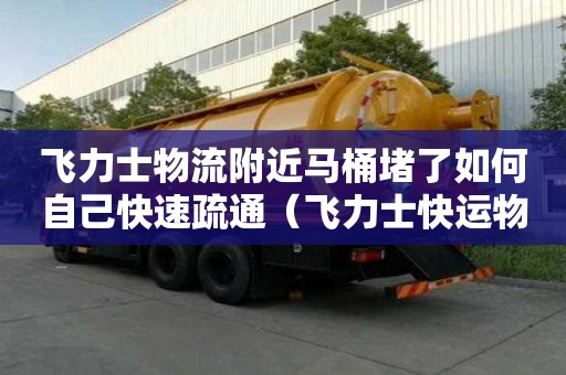 飛力士物流附近馬桶堵了如何自己快速疏通（飛力士快運物流單號查詢快速）