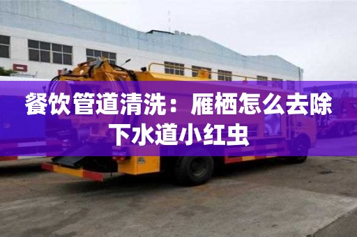 餐飲管道清洗：雁棲怎么去除下水道小紅蟲
