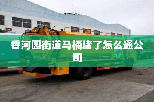 香河園街道馬桶堵了怎么通公司